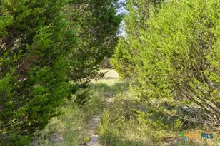 000 County Road 106, Lampasas, TX 76550 - Photo 29