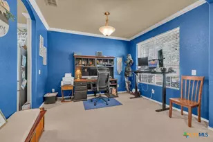 1933 Spotted Owl, New Braunfels, TX 78130 - Photo 3