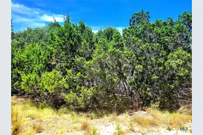 1680 Stallion Springs Drive, Fischer, TX 78623 - Photo 3