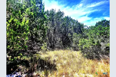 1680 Stallion Springs Drive, Fischer, TX 78623 - Photo 1