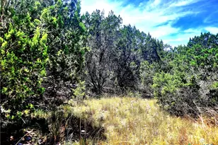 1680 Stallion Springs Dr, Fischer, TX 78623 - Photo 1