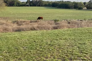 2029 Co Rd 200, Burnet, TX 78611 - Photo 15