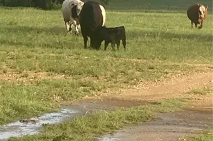 2029 Co Rd 200, Burnet, TX 78611 - Photo 5