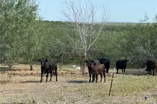 120 N Camino Real Hwy, Kyle, TX 78640 - Photo 13