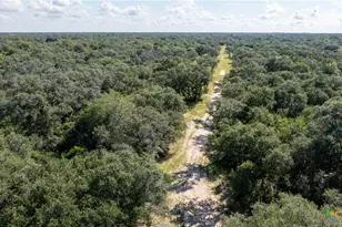 000 Pura Vida Rd, Inez, TX 77968 - Photo 7