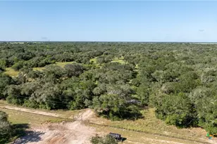 000 Pura Vida Rd, Inez, TX 77968 - Photo 11