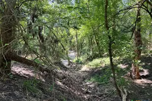 293 Co Rd 460, Hallettsville, TX 77964 - Photo 11