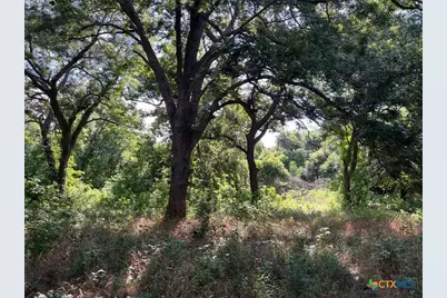 293 County Road 460, Hallettsville, TX 77964 - Photo 9