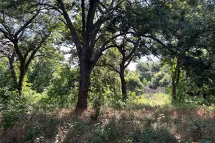 293 Co Rd 460, Hallettsville, TX 77964 - Photo 9