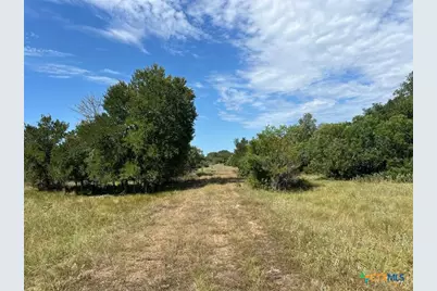 293 County Road 460, Hallettsville, TX 77964 - Photo 17