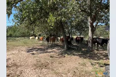 293 County Road 460, Hallettsville, TX 77964 - Photo 15