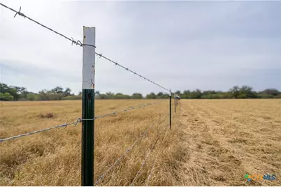 956 Johnson Farms Road, Harwood, TX 78632 - Photo 7