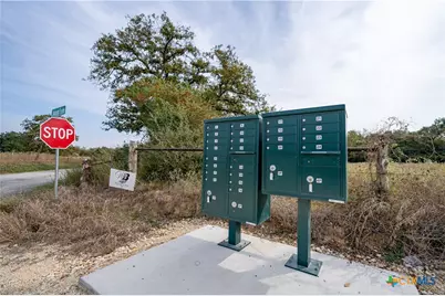 956 Johnson Farms Road, Harwood, TX 78632 - Photo 13