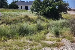 0 South Junius, Blanco, TX 78606 - Photo 1