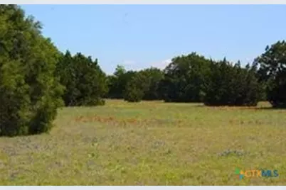 8590 Trimmier Road, Killeen, TX 76542 - Photo 7