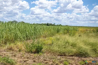 000 County Road 647, Mathis, TX 78368 - Photo 41