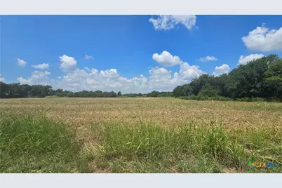 17698 Harber Road, Holland, TX 76534 - Photo 9