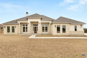 141 Gadwall Way, Spring Branch, TX 78070 - Photo 3