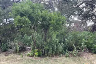 1652 Comfort, Canyon Lake, TX 78133 - Photo 1