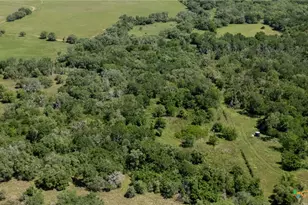 0 Cr 394, El Campo, TX 77437 - Photo 3