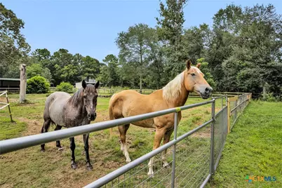 30820 Collier Smith Road, Magnolia, TX 77354 - Photo 39