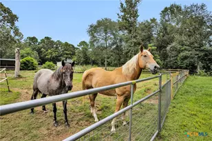 30820 Collier Smith Rd, Magnolia, TX 77354 - Photo 39