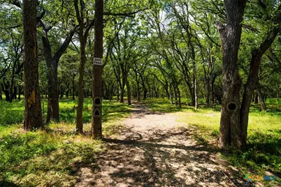 205 Doral Court, Cibolo, TX 78108 - Photo 41