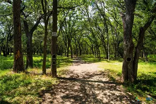 205 Doral Ct, Cibolo, TX 78108 - Photo 41