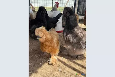 3196 Rene Street, Copperas Cove, TX 76522 - Photo 25