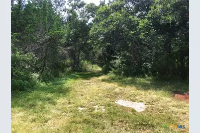 12308 Bonnie Lane, Belton, TX 76513 - Photo 7