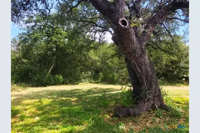 12308 Bonnie Lane, Belton, TX 76513 - Photo 9