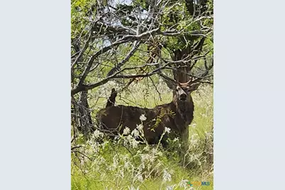 1988 Cr 116, Rogers, TX 76569 - Photo 15