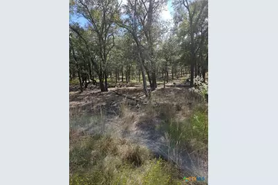 1988 Cr 116, Rogers, TX 76569 - Photo 7