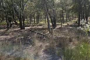 1988 Cr 116, Rogers, TX 76569 - Photo 7