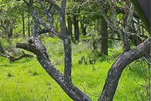 1988 Cr 116, Rogers, TX 76569 - Photo 5