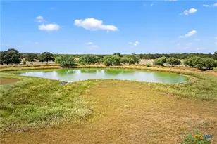 Tbd Hwy 80, Leesville, TX 78122 - Photo 5