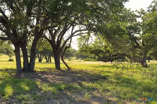 Tbd 98 73 Acres Triple 3 Ranch, Blanco, TX 78606 - Photo 25