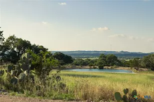 Tbd 98 73 Acres Triple 3 Ranch, Blanco, TX 78606 - Photo 19