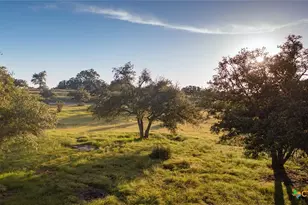 Tbd 98 73 Acres Triple 3 Ranch, Blanco, TX 78606 - Photo 5