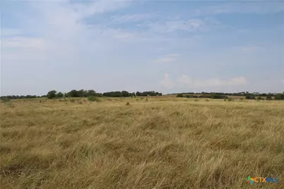 Tba County Road 417, Taylor, TX 76574 - Photo 5
