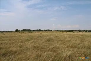 Tba County Road 417, Taylor, TX 76574 - Photo 5