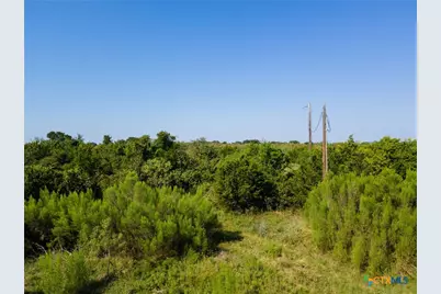 0 Private Road 1276, Lampasas, TX 76550 - Photo 5