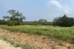 Lot 175 Heartleaf Dr, Lampasas, TX 76550 - Photo 5