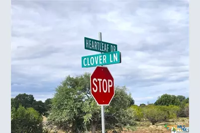 Lot 175 Heartleaf Drive, Lampasas, TX 76550 - Photo 3
