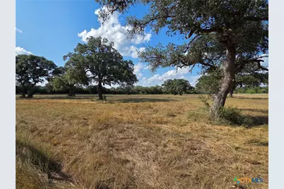 0000 Slickfield Road, Yorktown, TX 78164 - Photo 5