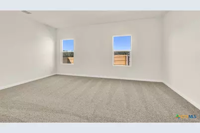 226 Shenandoah Drive, Kyle, TX 78640 - Photo 17