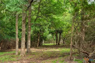 00 County Road 284, Liberty Hill, TX 78642 - Photo 13