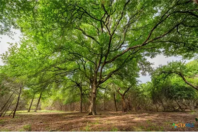 00 County Road 284, Liberty Hill, TX 78642 - Photo 7