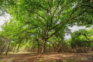 00 County Road 284, Liberty Hill, TX 78642 - Photo 7