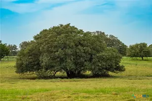 00 County Road 284, Liberty Hill, TX 78642 - Photo 9